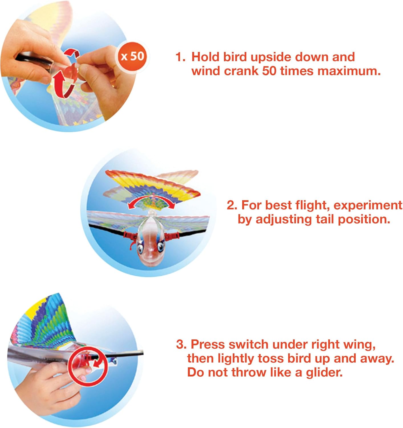 Schylling Tim Bird Flying Toy - Rubberband-Powered Mechanical Bird that Really Flies - Wings Flap and Flies 50 Feet - Ages 7 and Up - Image 4